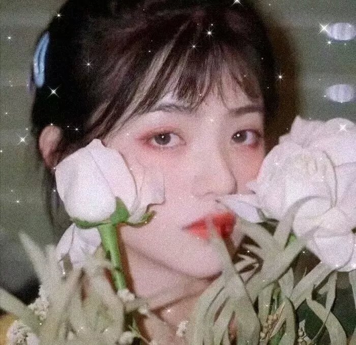 查理·布拉沃
