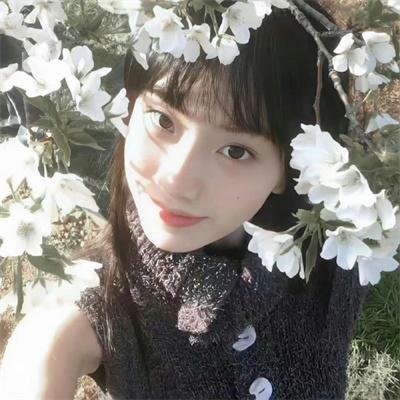 十字架与吸血鬼第二季